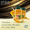 Lotus Herbals Kera-Veda Amlapura Shikakai-Amla Herbal Shampoo