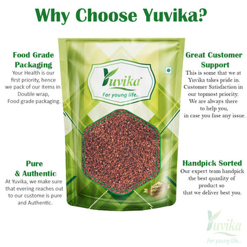 Yuvika Ragi - Eleusine coracana - Finger Millet