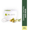 Plum Goodness Damage Control Hair Mask - 250 ml