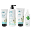 Plum Goodness Tea Tree Dandruff Control Combo