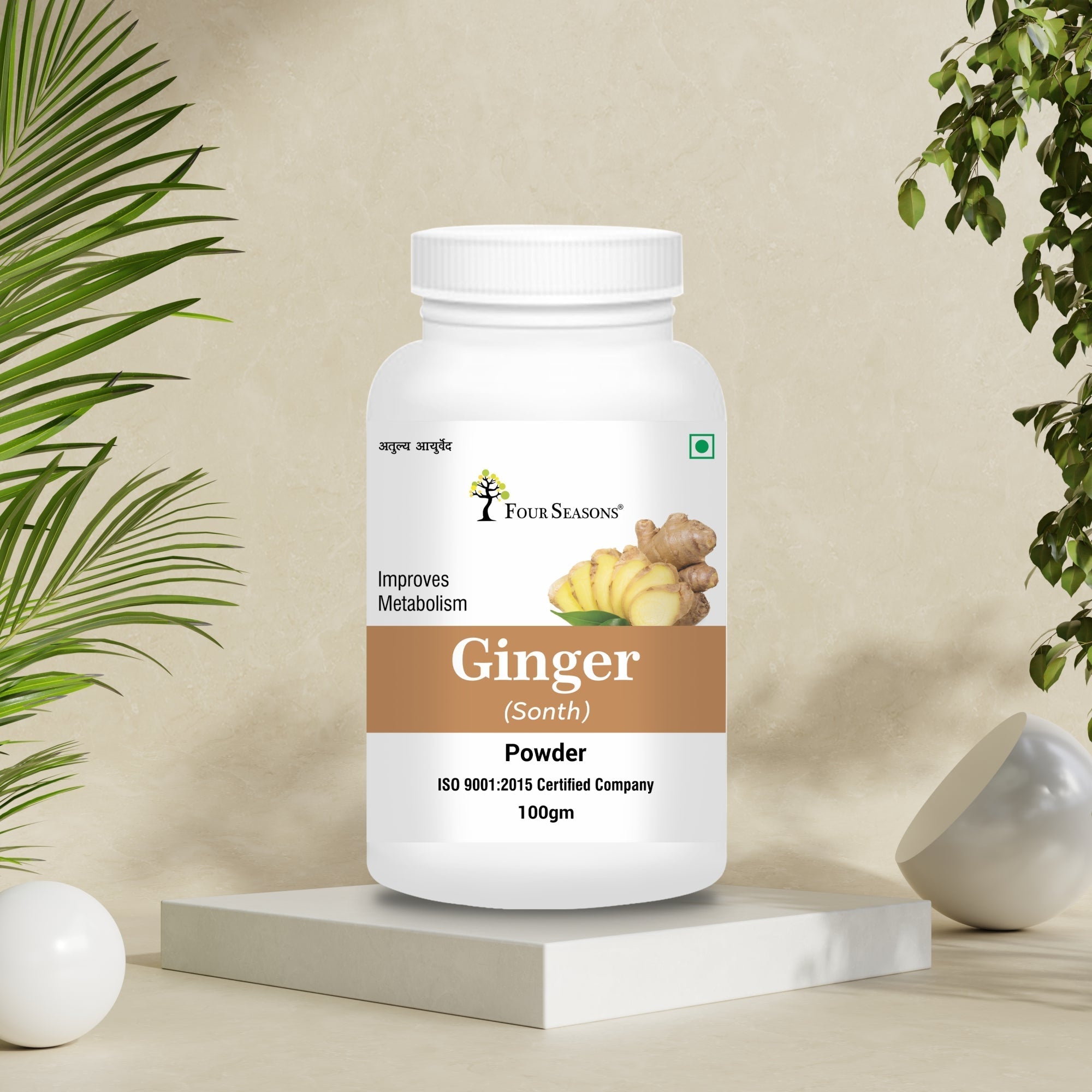 Four Seasons Ginger (Sonth) Powder - 100 gms