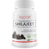 Elcon Shilajeet 500Mg Capsule - 60 caps
