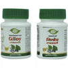 Meghdoot Giloy Ki Ghanvati - 70 tabs (Pack of 2)