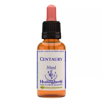 Healing Herbs Centauryd