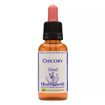 Healing Herbs Chicory