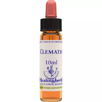 Healing Herbs Clematis