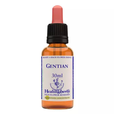 Healing Herbs Gentian