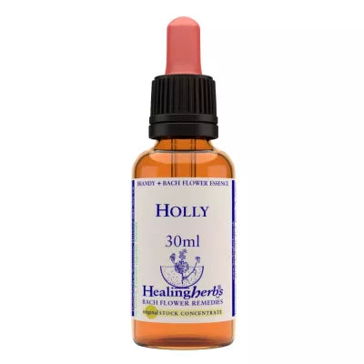 Healing Herbs Holly