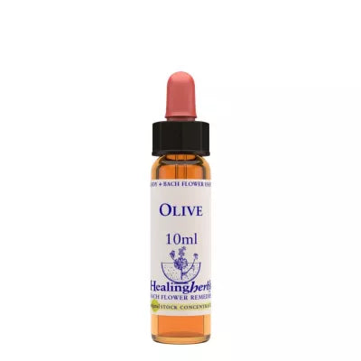 Healing Herbs Olive