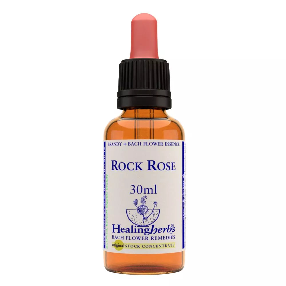 Healing Herbs Rock Rose