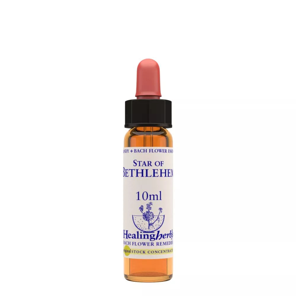 Healing Herbs Star Of Bethlehem