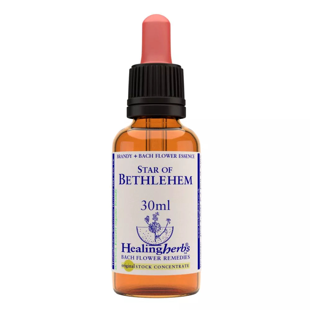 Healing Herbs Star Of Bethlehem