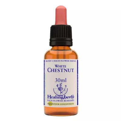 Healing Herbs White Chestnut