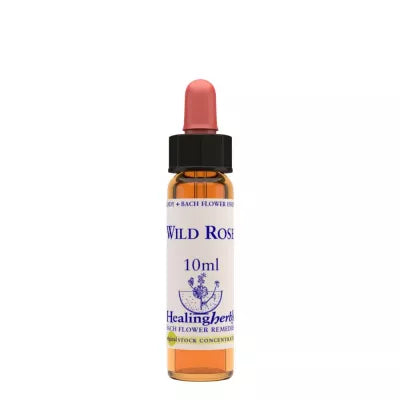 Healing Herbs Wild Rose