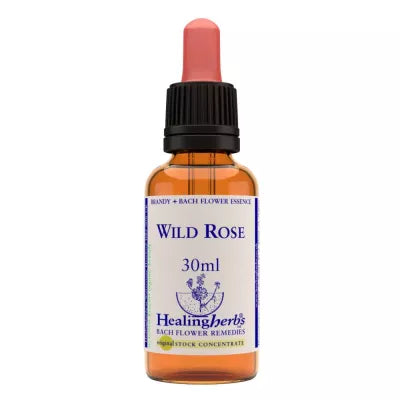 Healing Herbs Wild Rose