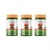 Vaidyacure Milk Thistle Liver Capsules (3 Month Course) - 60caps (Pack of 3)