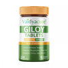 Vaidyacure Giloy Tablets - 60 tabs