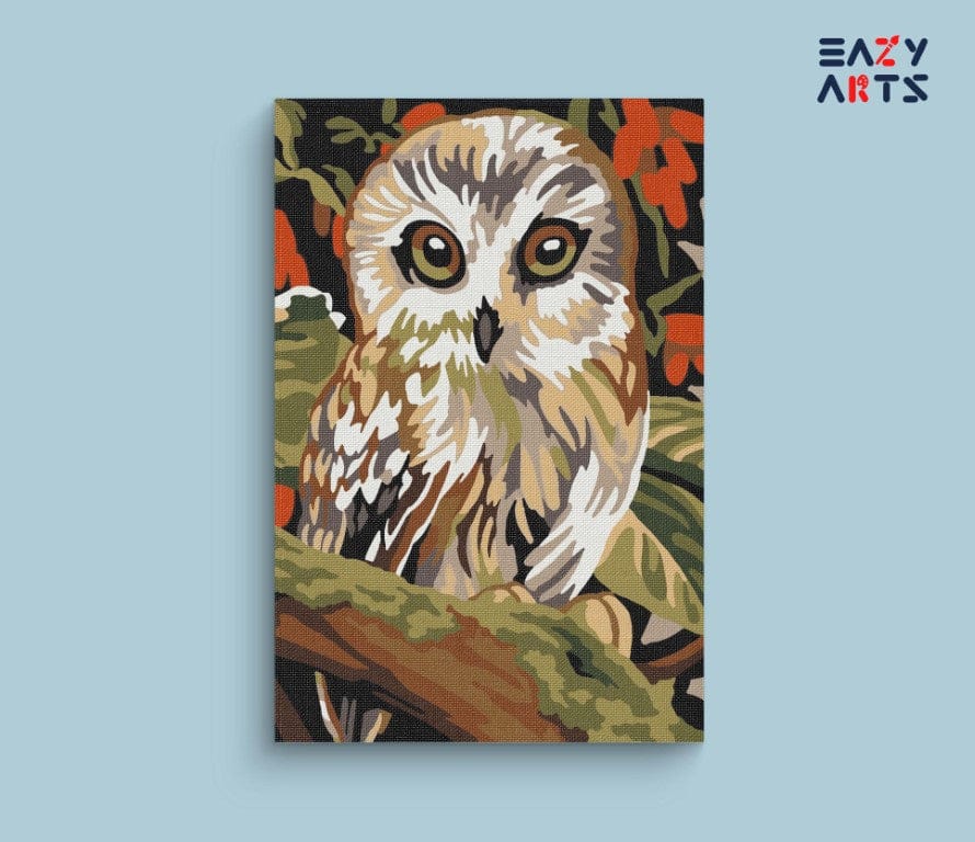 Owl Paint By Numbers Kit For Kids