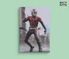 Eazy Arts Ant Man Paint By Numbers kit