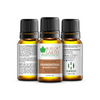 Bliss of Earth Frankincense Essential Oil - 10ml