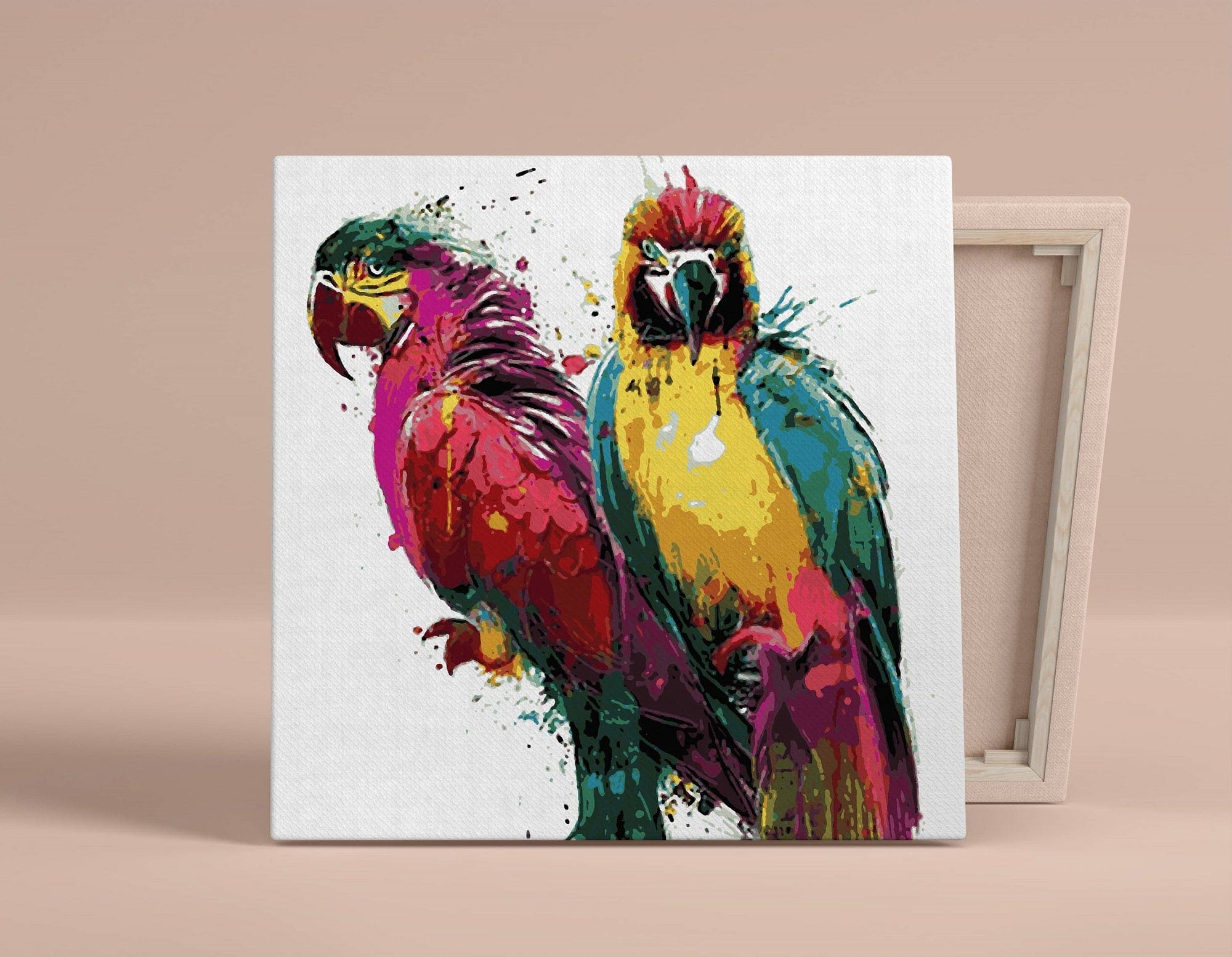 Parrots Couple Colorful Paint by Numbers Kit