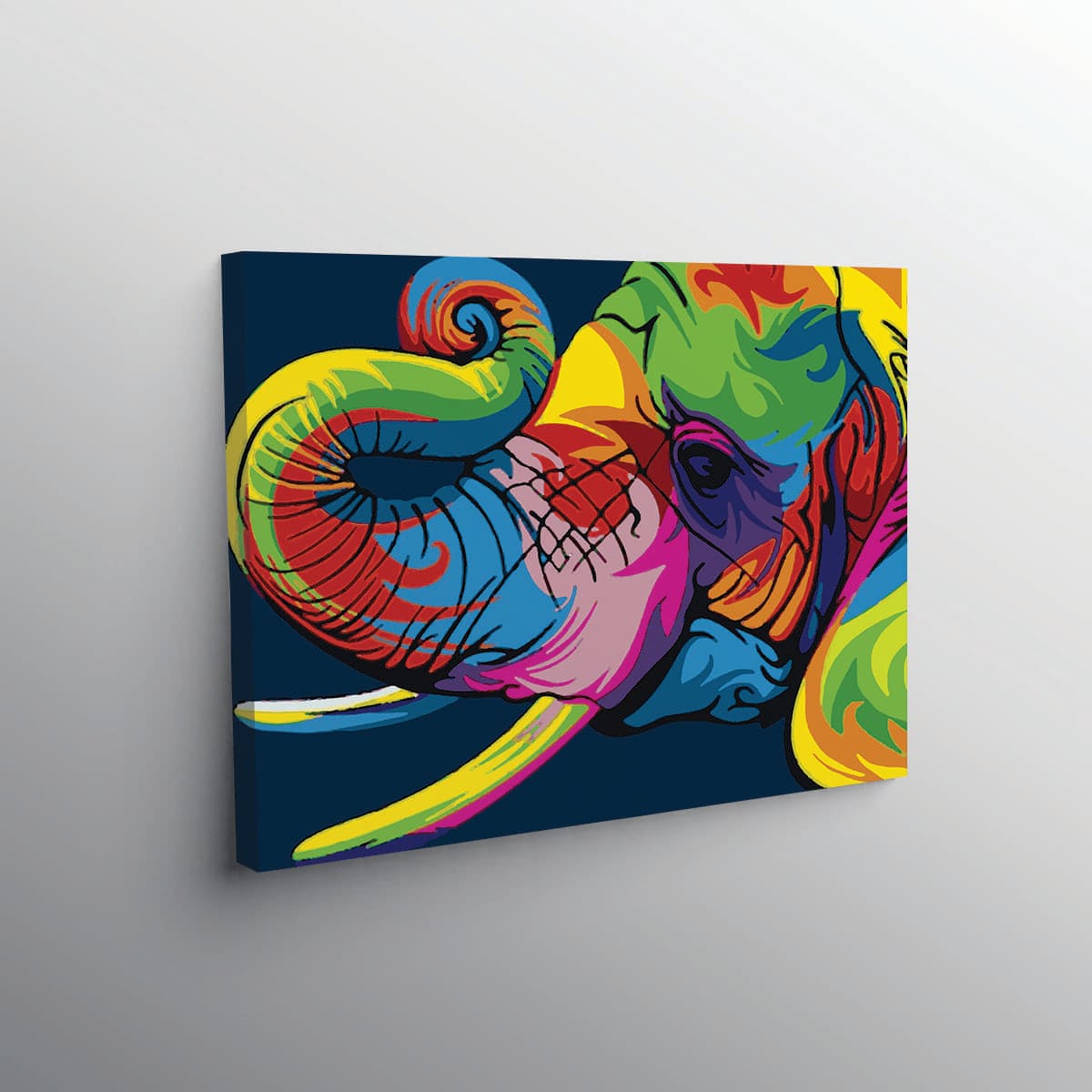 Elephant Abstract Paint By Numbers Kit