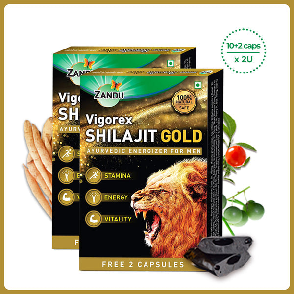 Zandu Vigorex Shilajit Gold Capsules - Pack of 2