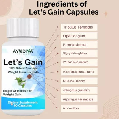 Ayudiva Herbals Let's Gain - 60 caps