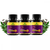 Dharishah Ayurveda Fts Herbal - 60 tabs