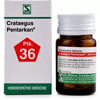 Dr. Willmar Schwabe India Crataegus Pentarkan Ptk 36 Tablets
