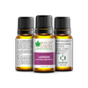 Bliss of Earth Lavender Essential Oil - 10ml