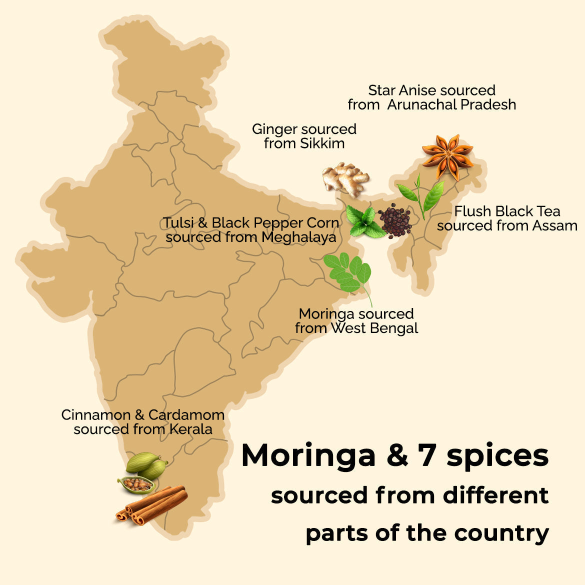 Auric Masala Tea Kadak Masala Chai Powder with Moringa