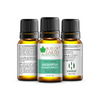 Bliss of Earth Eucalyptus Essential Oil - 10ml