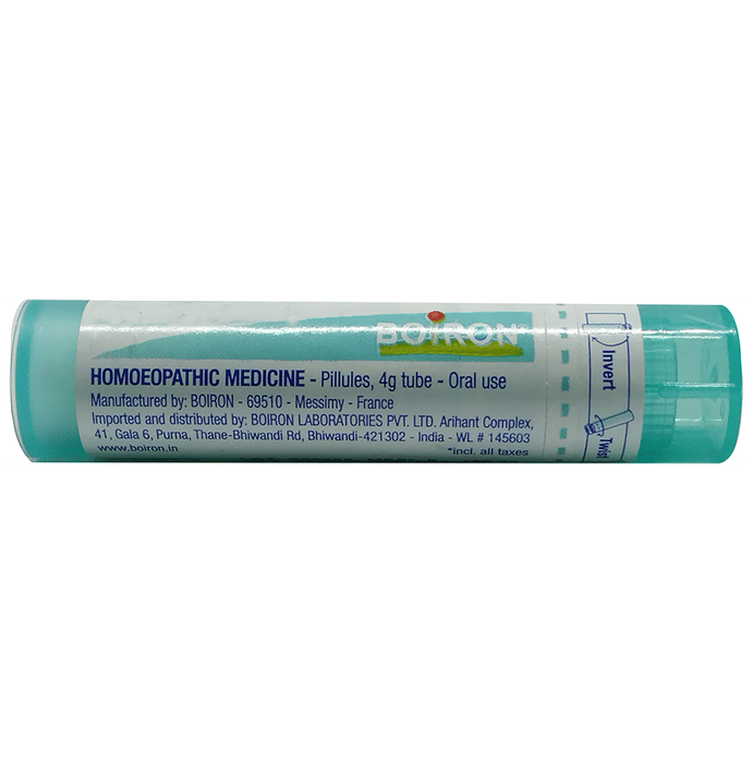 Boiron Ledum Palustre Pellets  - 80 Pellets