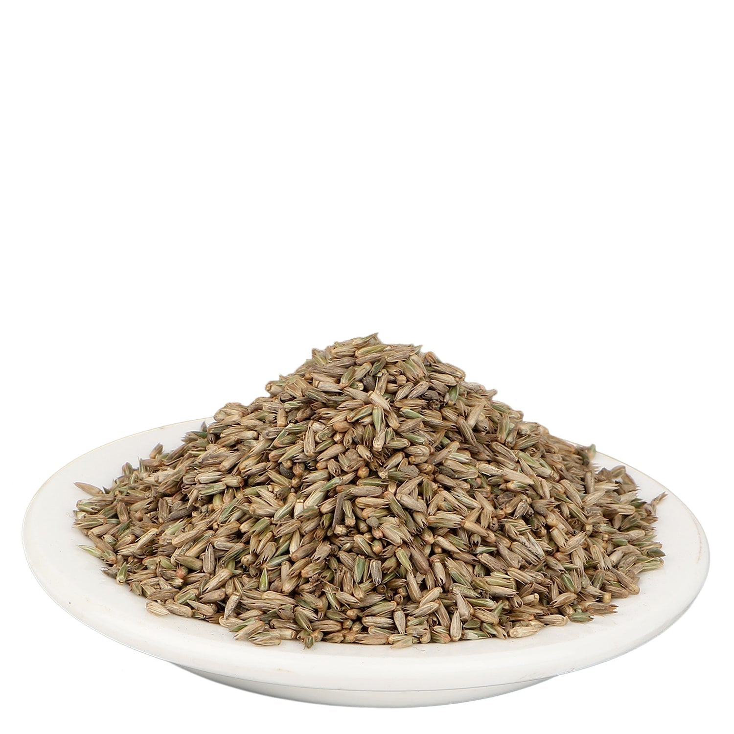 Yuvika Apamarg Seeds - Apoot Kanta - Uttareni Seeds - Latrija Beej - Chirchita ka Beej