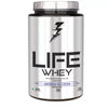 Divine Nutrition Life Whey (25 Servings) American Ice Cream - 1000 gms