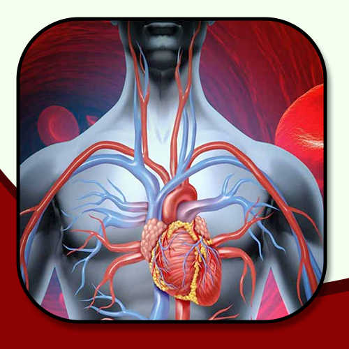 Tansukh Herbals Varunshigru Kwath