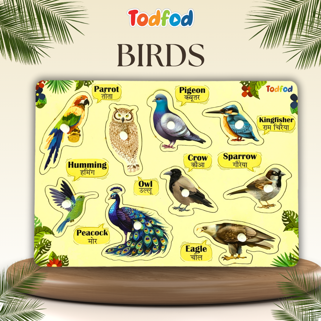 Birds & Vehicle Characters Knob & Pegged Puzzle for Kids