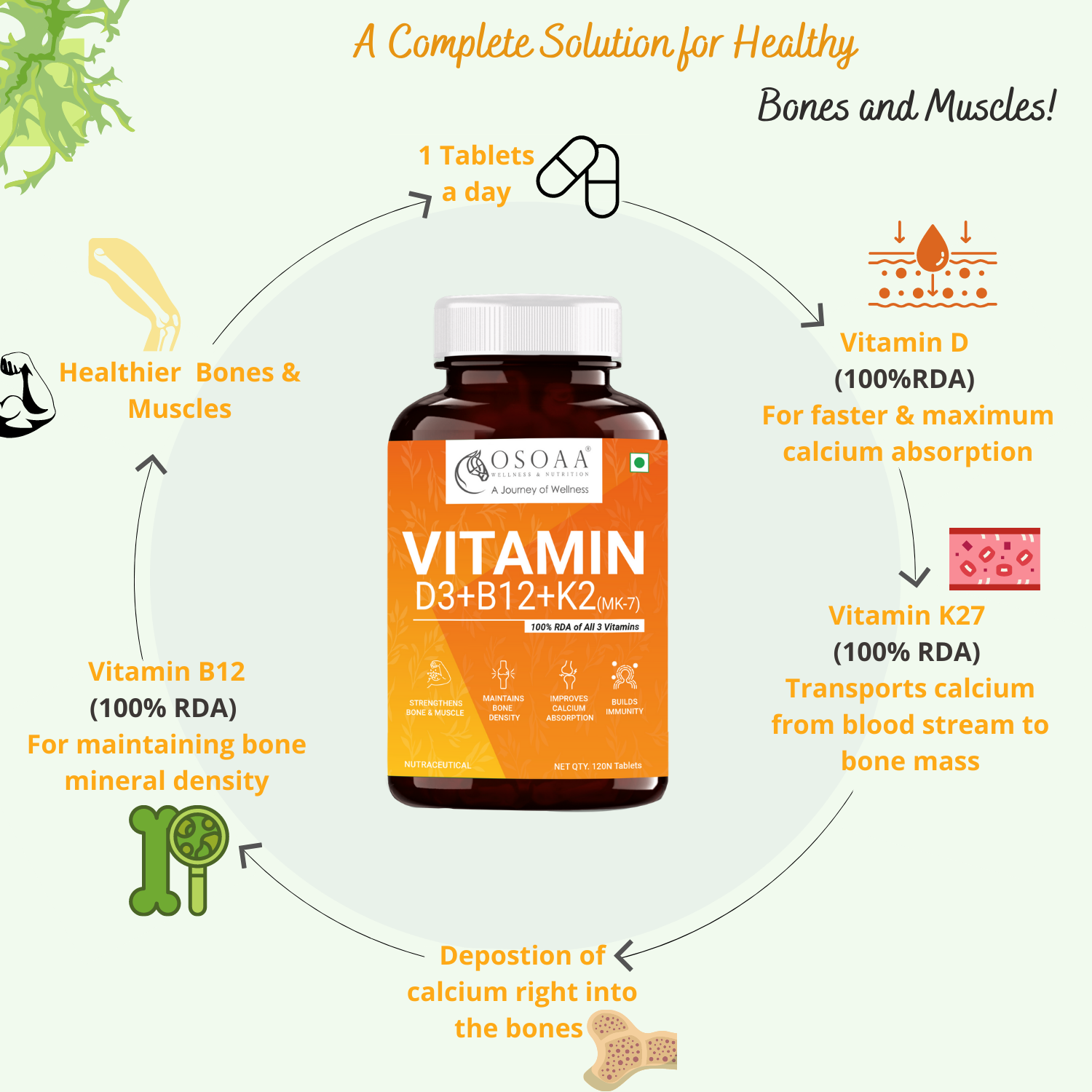 Osoaa Veg Vitamin D3 K2 & B12 - 120 tabs