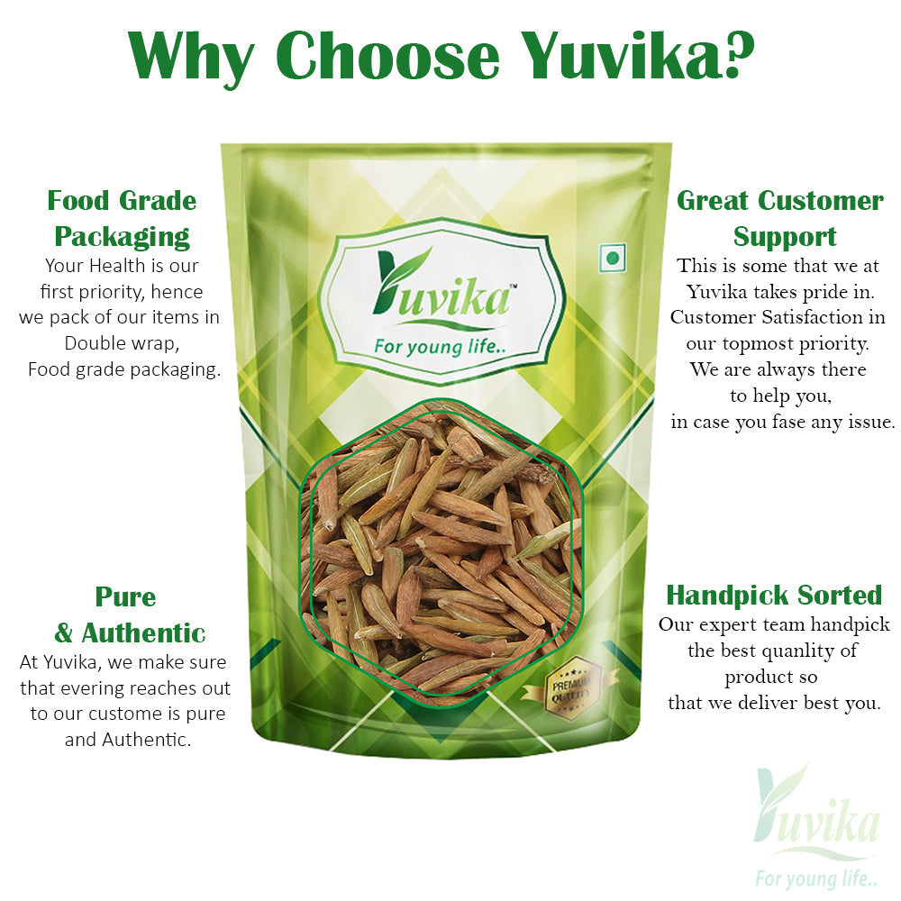 Yuvika Indrajau Meetha - Inderjoo Metha - Wrightia Tinctoria