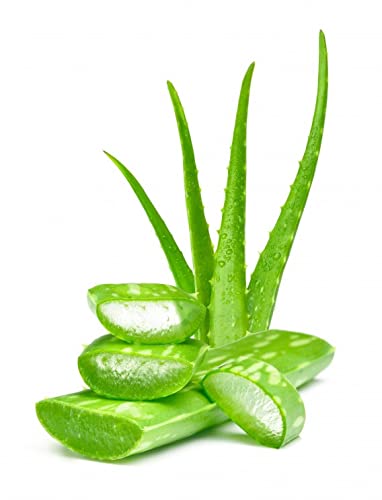 3V Products Aloe Vera Powder - 250 gms