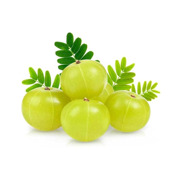 3V Products Amla Powder - 100 gms