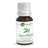 Naturalis Essence of Nature Lemon Eucalyptus (Eucalyptus Citriodora) for Dandruff and Mosquito repellent - 15 ml