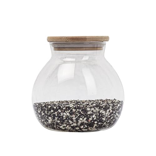 Femora Kitchen Storage Jars Borosilicate Glass With Wooden Lid Air Tight Jar | 1000 Ml | Pack of 4
