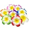 Artificial Big Foam Hawaaii Fake Foam Water Floating Flowers Multicolor 12