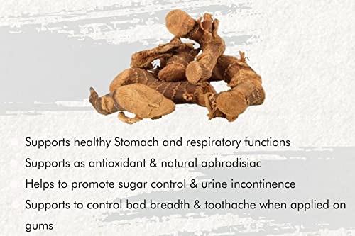 3V Products Chitharathai Root - 100 gms