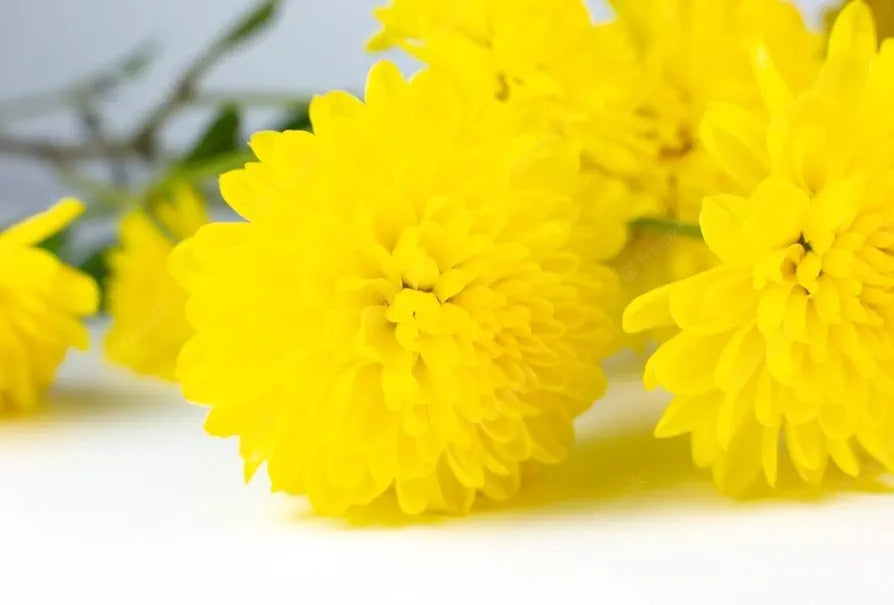 Artificial Chrysanthemum Hydrangea Ball Flower Sticks Yellow