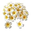 Artificial Big Foam Hawaaii Fake Foam Water Floating Flowers White