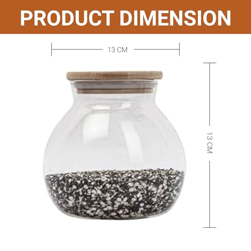 Femora Kitchen Storage Jars Borosilicate Glass With Wooden Lid Air Tight Jar | 1000 Ml | Pack of 4