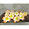 Artificial Big Foam Hawaaii Fake Foam Water Floating Flowers Orange